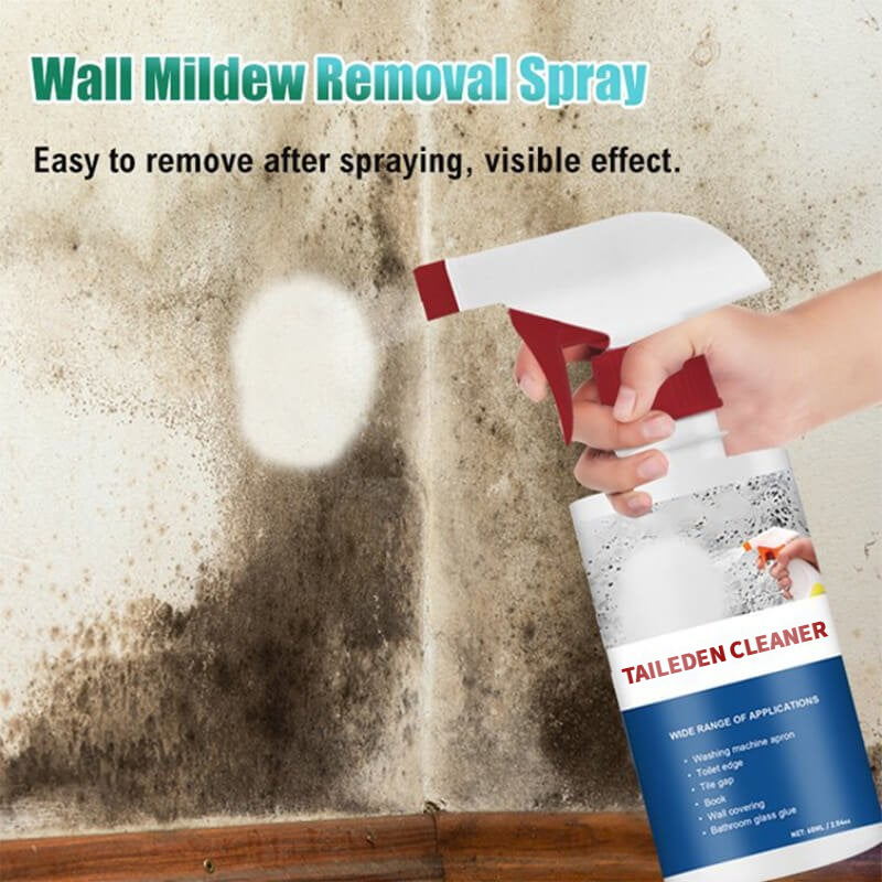Mildew Remover Foam