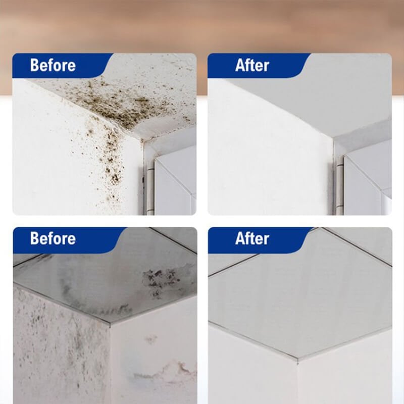 Mildew Remover Foam